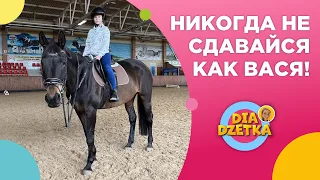 Never give up like Vasya! DiaHorses and horses with a "chip".