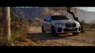 THE X5