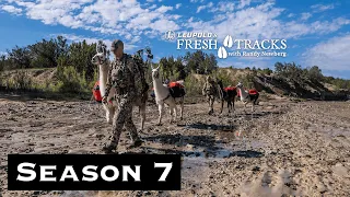 Chasing Bull Elk With Uncle Jimmer: New Mexico Archery Elk | (Amazon Episode)