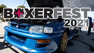 Boxerfest 2021 Montage