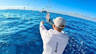 Live Bait Tuna Fishing | Tips & Tricks