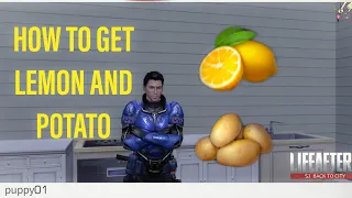 Lifeafter How To Get Lemon And Potato | Lifeafter Gameplay