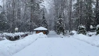 Санаторий Приозерный - прогулка по территории (зима), Санатории Беларуси