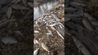 Bowfisherman Destroyed this River