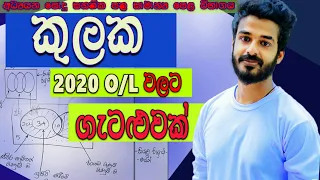 kulaka | sets in sinhala | grade 11 | grade 10 | question for the exam | කුලක |  ganitha papers OL