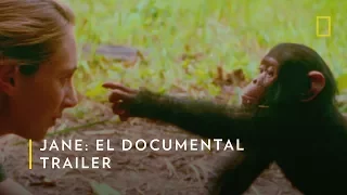 Jane: El Documental sobre la vida de Jane Goodall | Nat Geo