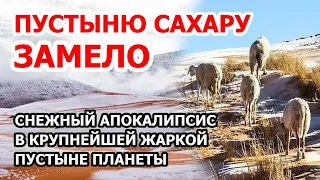 Снегопад в пустыне Сахаре. Самую крупную жаркую пустыню на Земле завалило снегом. Дурной знак?