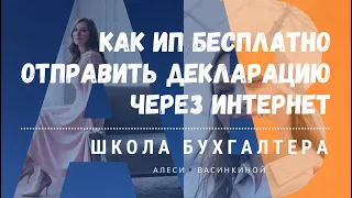 Как ИП бесплатно отправить декларацию через интернет