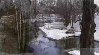 СТАРАЯ КУПАВНА р. Купавинка и отводной канал.