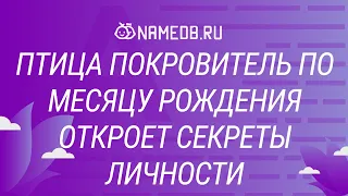 Птица покровитель по месяцу рождения откроет секреты личности