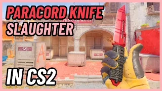 ★ CS2 Paracord Knife Slaughter | CS2 Knife In-Game Showcase [4K]