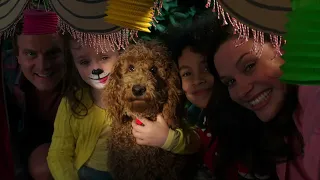 Waffle's Birthday...? Maybe? | Waffle the Wonderdog | Live Action Videos for Kids | WildBrain Zigzag