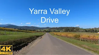 Scenic Drive in Yarra Valley | Melbourne Australia | 4K UHD