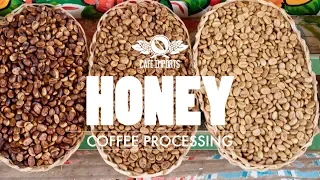 Honey Coffee Processing