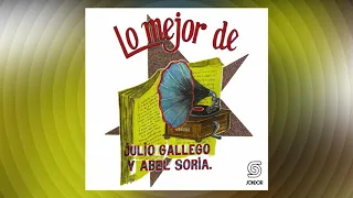 🔊 ABEL SORIA & JULIO GALLEGO - Lo Mejor (1995) [📀Folklore SONDOR]