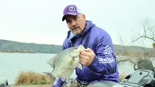 What Big Crappie Look Like On Livescope