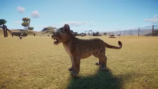 Planet Zoo - Baby African Lion - Following an African Lion Cub around in a massive sanctuary habitat