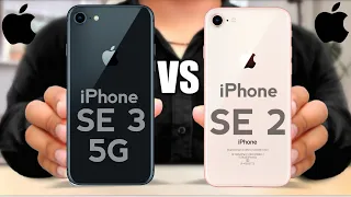 Apple iPhone SE 3 5G vs Apple iPhone SE 2 (2020)