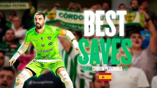 FABIO ALVIRA - THE WALL | BEST SAVES | Penyelamatan kiper futsal terbaik | HD
