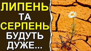 ПОГОДА У ЛИПНІ ТА СЕРПНІ 2023 в Україні приготувала неприємний сюрприз...