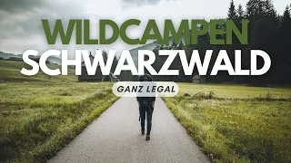 IM SCHWARZWALD DARF MAN LEGAL WILDCAMPEN!