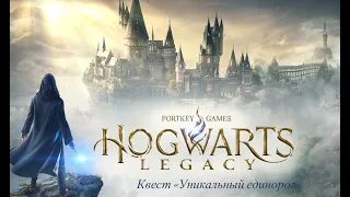 Hogwarts Legacy прохождение (Квест: Уникальный единорог)