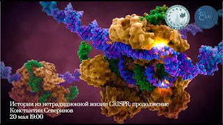 Научный клуб ФББ. Константин Северинов. Истории из нетрадиционной жизни CRISPR: продолжение.