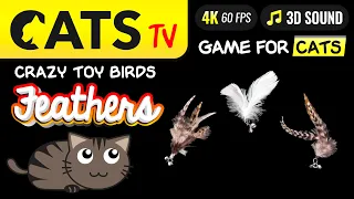 CAT TV - Birds Feathers 🪶 Toys for cats 🙀📺🐭🪳 4K 🔴 60fps [CATS TV]