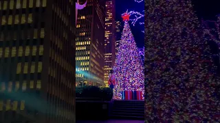 Celebrate Christmas with New York 🇺🇸🇺🇸🇺🇸❤️❤️❤️