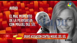 Periodista denuncia que fue acosada por Miguel Del Sel