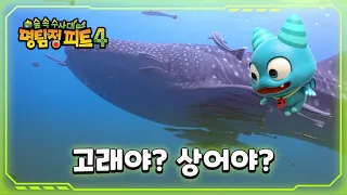 [명탐정 피트 4] - 고래야? 상어야?