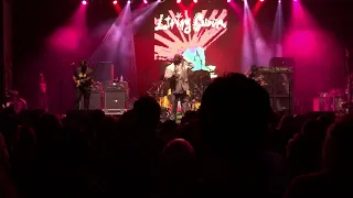 Living Colour - Memories Can’t Wait The Paramount 8/6/23