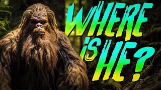 Bigfoot Search Continues in PNW DayZ