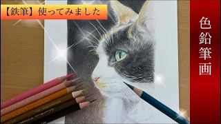 【色鉛筆画】こんなに簡単に描けるなんて！！初めての鉄筆でリアル猫ちゃんを描きました　Realistic cat drawing colord pencil  ＃色鉛筆＃猫＃ネコ＃ねこ