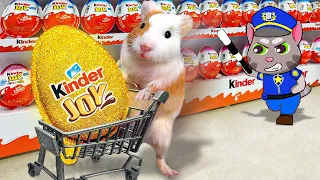 HamHam goes to Supermarket and takes SUPRPISE Kinder Joy Eggs From Talking Tom | Life Of Pets HamHam