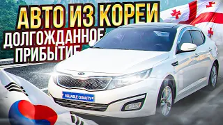 ДОЛГОЖДАННОЕ ПРИБЫТИЕ АВТО ИЗ КОРЕИ!