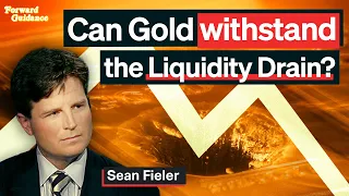 Can Gold Withstand the Liquidity Drain? | Sean Fieler