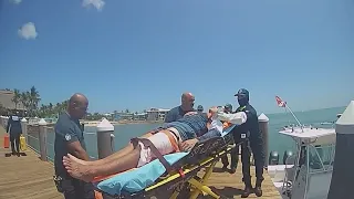 Shark attack concerns growing across the country
