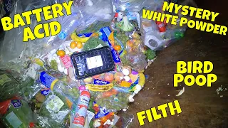 Dumpster Divers Donating Food Waste to Food Banks & Homeless 💩😷