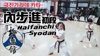 극진가라데 카타 내보진 초단 kyokushin kata naifanchi syodan