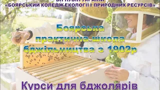 Курси для бджолярів