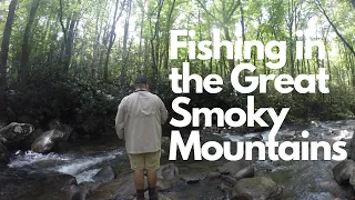 Jon Boat Life episode 6 - Fishing in the Great Smoky Mountains