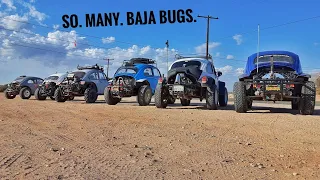 Baja Bug BUILD INSPIRATION 👁️👄👁️