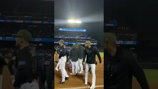 Walk-off winner! Francisco Lindor wins it for the Mets!