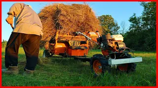 I Carried the Hay with Power Tiller/Cultivator RURIS 731K ACC and Trailer RURIS 750 Kg