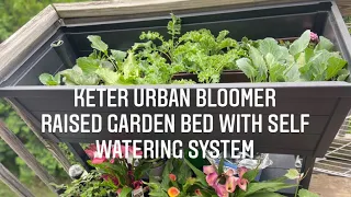 How to: D.I.Y  KETER urban Bloomer elevated Raised Garden Bed with self watering system