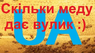 Скільки меду дає один вулик? + складання гнізда в зиму, + обробка від кліща. "Пасіка діда Євгена."