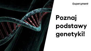 Genetyka i dziedziczenie | ZDALNY EXPERYMENT #140