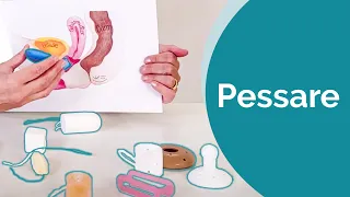 Pessare: Einfache Hilfsmittel für den Beckenboden bei Inkontinenz und Senkung