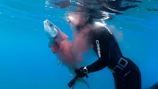 [No. 25] Тотальная битва с гигантской рыбой во время фридайвинга
